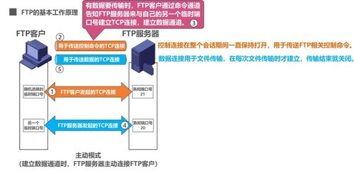 計(jì)算機(jī)網(wǎng)絡(luò)應(yīng)用層 域名系統(tǒng)DNS、文件傳送協(xié)議FTP與計(jì)算機(jī)系統(tǒng)服務(wù)